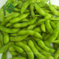 chinese frozen mixed vegetables price frozen diced pepper10*10mm